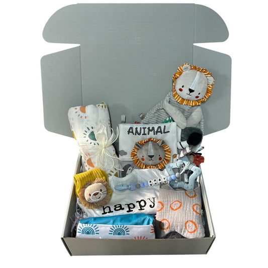 Little Ray and Roar Baby Shower Gift set with Personalised Name Pacifier Strap